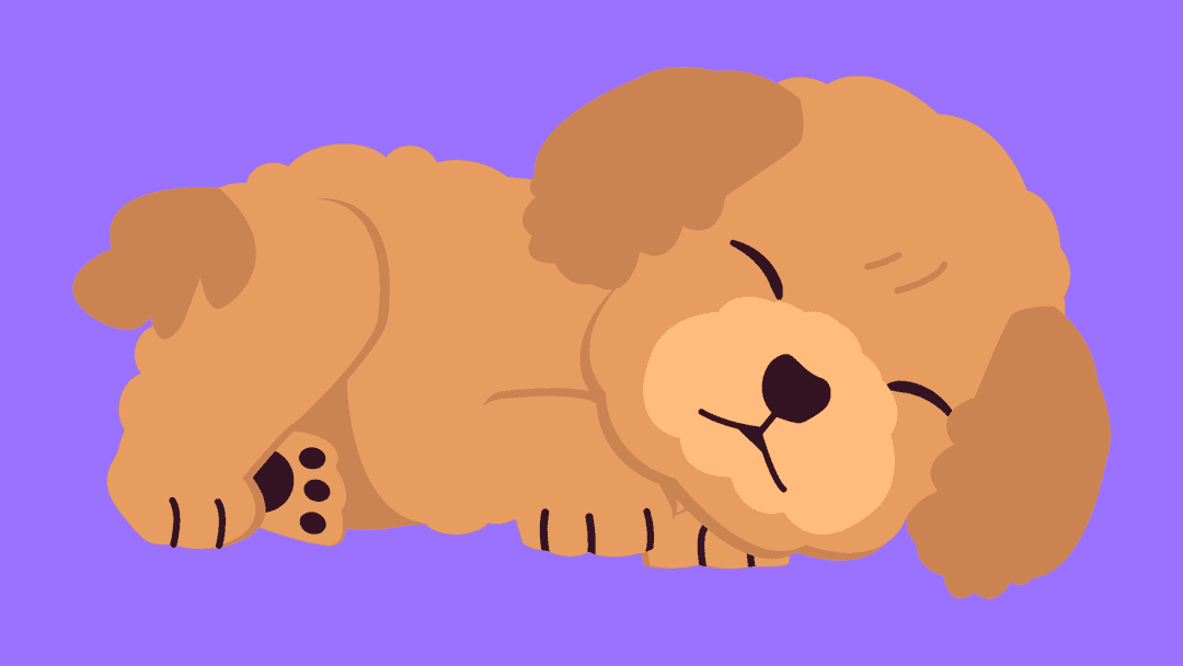 cartoon-dog-sleeping-vector.png