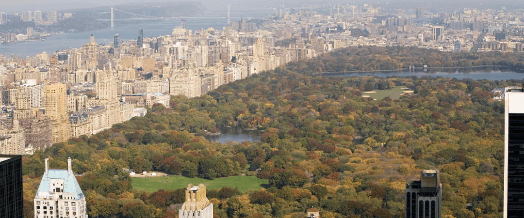 central-park-nyc-landscape.png
