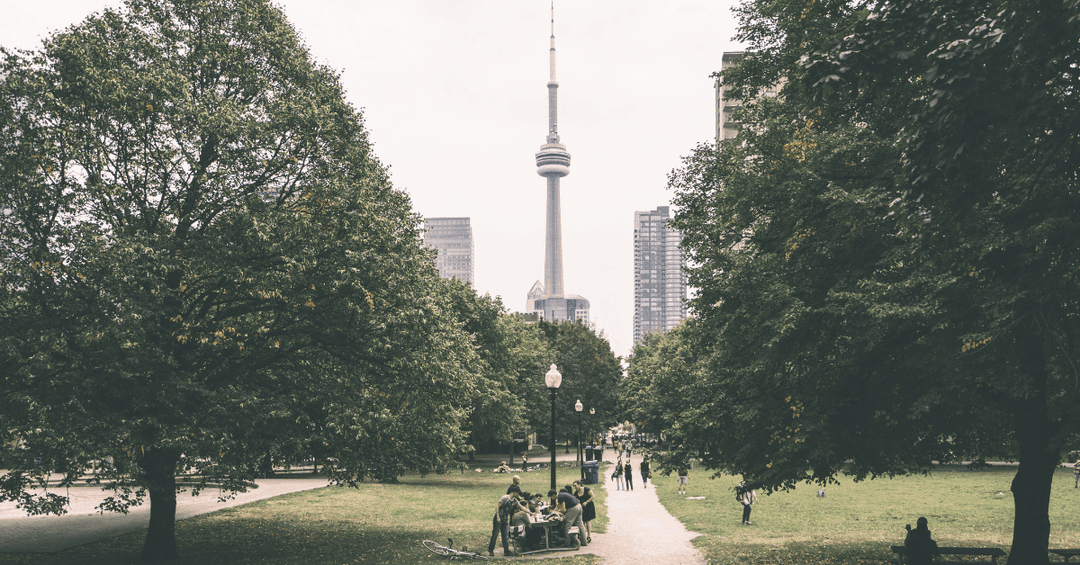 cn-tower-toronto-from-park.png