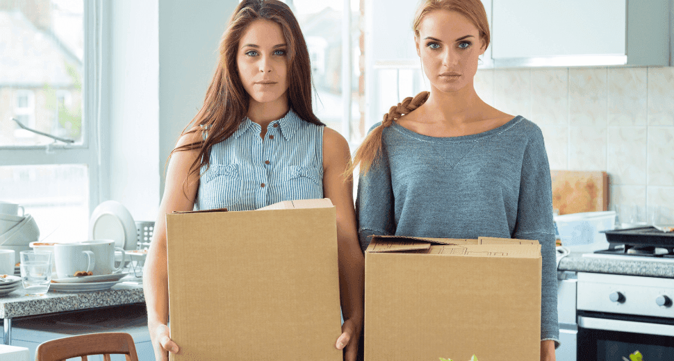 Understanding the Nuances: Flatmate vs. Housemate