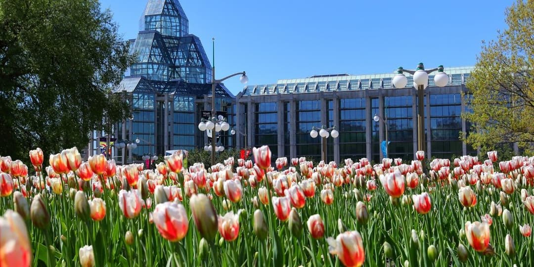 national-art-gallery-with-tulips-ottawa-canada.jpg