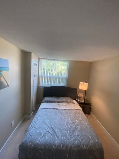 Place Preview main user avatar