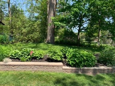 Place Preview main user avatar