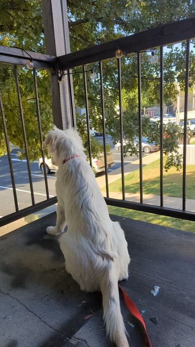 Place Preview main user avatar