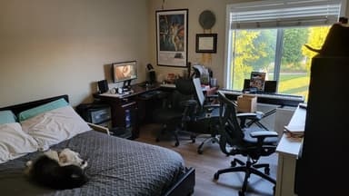 Place Preview main user avatar