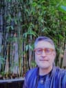 main user avatar