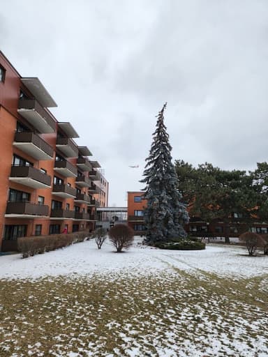 Place Preview main user avatar