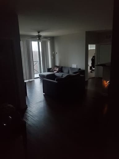 Place Preview main user avatar