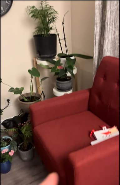 Place Preview main user avatar