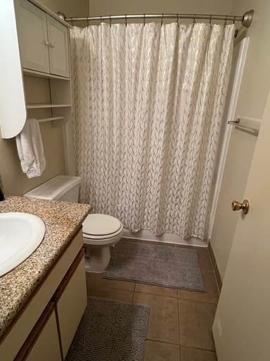 Place Preview main user avatar