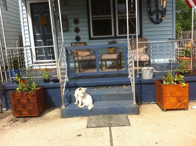 Place Preview main user avatar