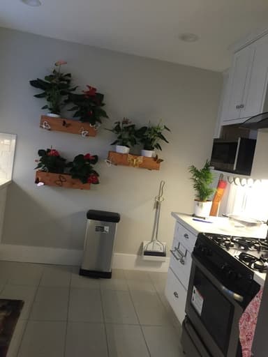 Place Preview main user avatar