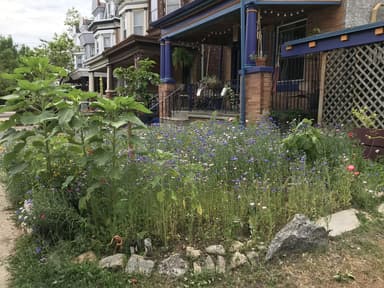 Place Preview main user avatar