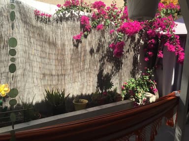 Place Preview main user avatar