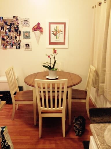 Place Preview main user avatar