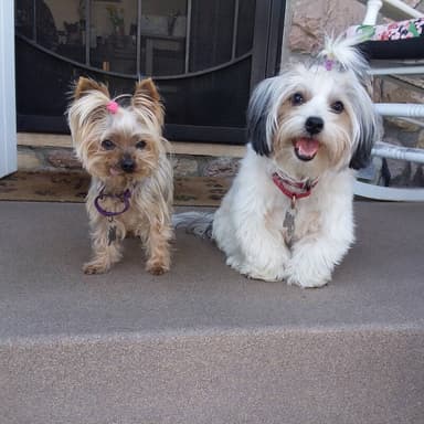 Place Preview main user avatar