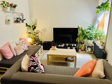 Place Preview main user avatar