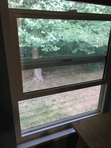 Place Preview main user avatar