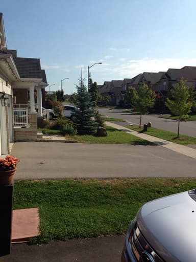 Place Preview main user avatar