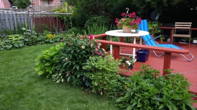 Place Preview main user avatar