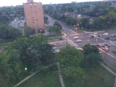 Place Preview main user avatar