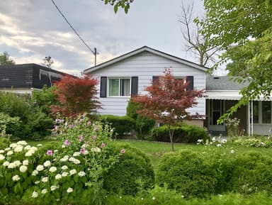 Place Preview main user avatar