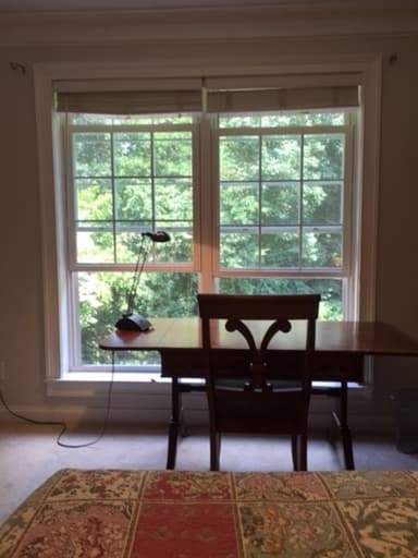 Place Preview main user avatar