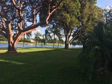 Place Preview main user avatar