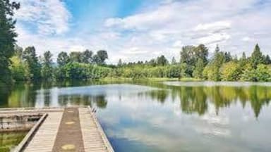 Place Preview main user avatar