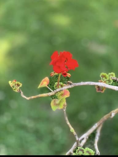 Place Preview main user avatar