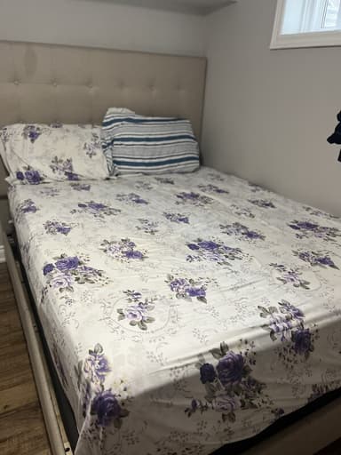 Place Preview main user avatar