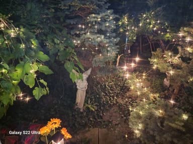 Place Preview main user avatar