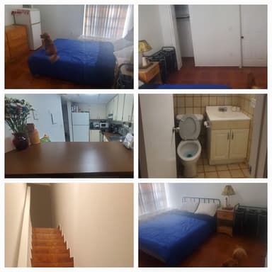 Place Preview main user avatar