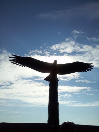 Place Preview main user avatar