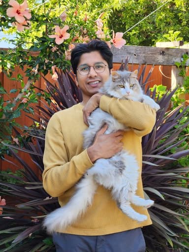 Profile Picture main user avatar