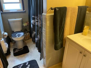 Place Preview main user avatar