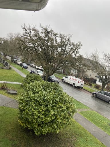 Place Preview main user avatar