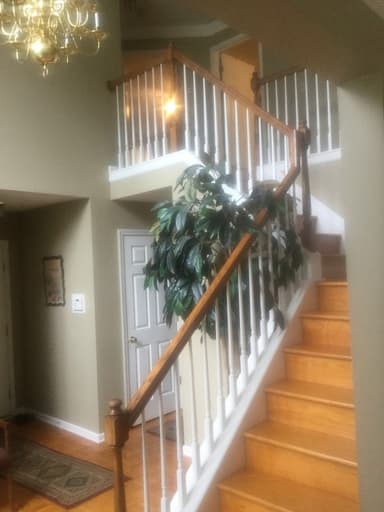 Place Preview main user avatar