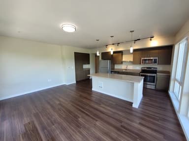 Place Preview main user avatar