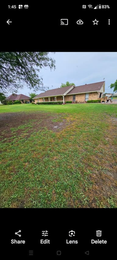 Place Preview main user avatar