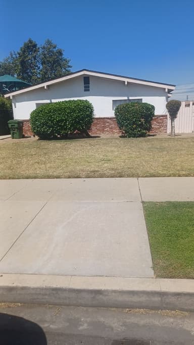 Place Preview main user avatar