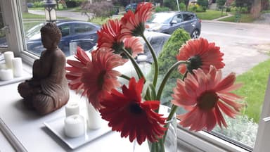 Place Preview main user avatar