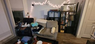 Place Preview main user avatar