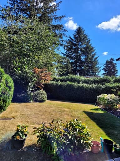 Place Preview main user avatar