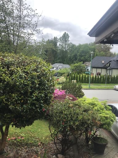 Place Preview main user avatar