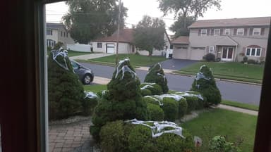 Place Preview main user avatar