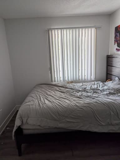 Place Preview main user avatar