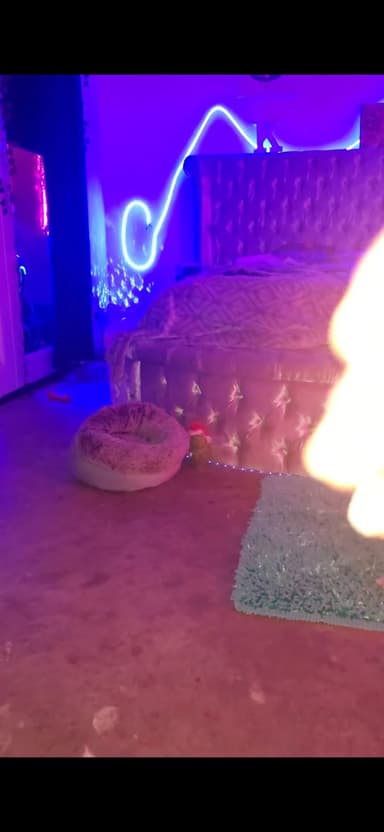 Place Preview main user avatar