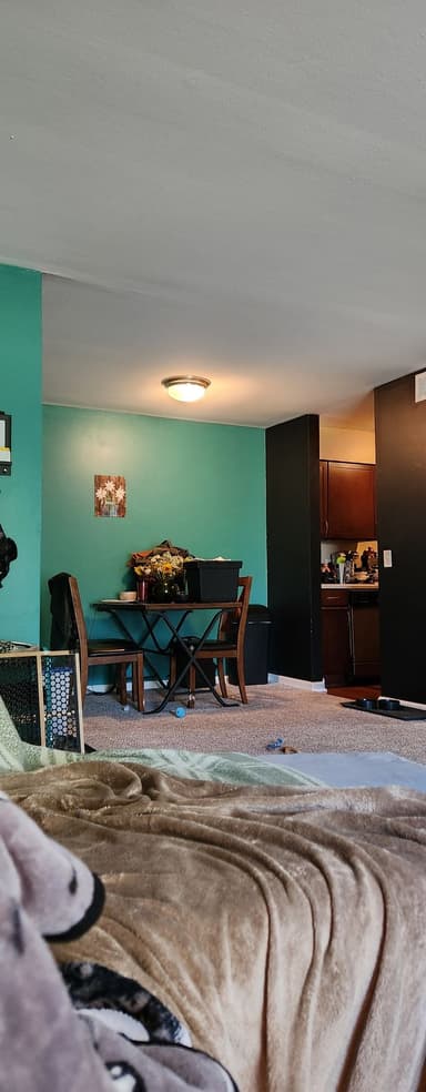 Place Preview main user avatar