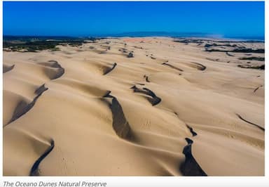 Profile Picture main user avatar